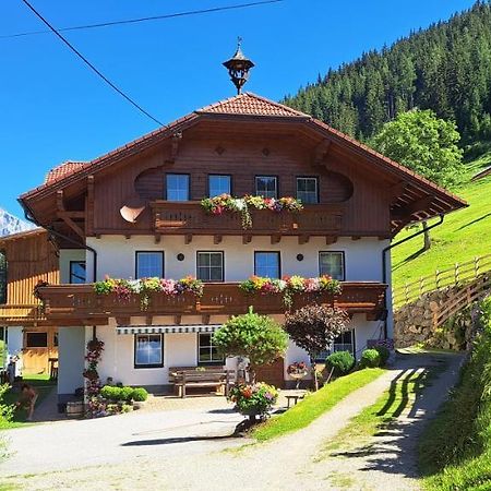 Biobauernhof Fresoldhof Villa Schladming Ngoại thất bức ảnh